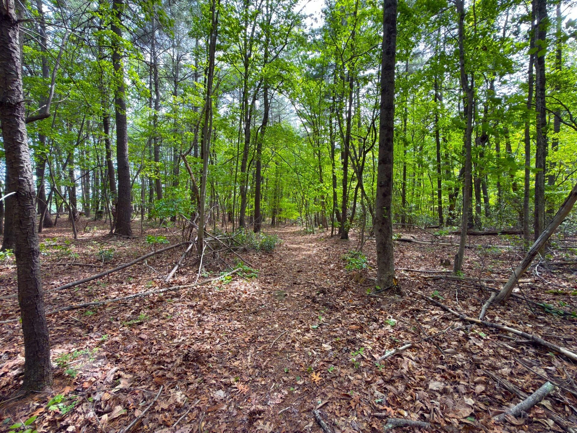 183 Pernello RD - Photo 18