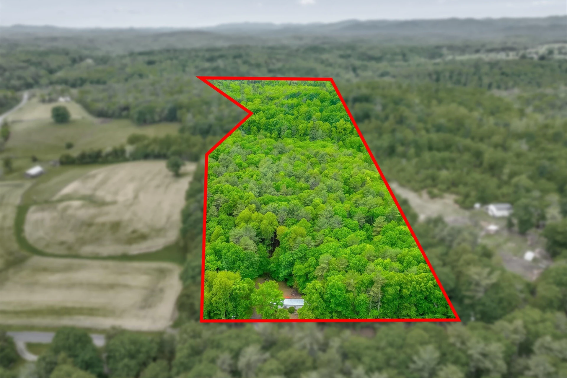 183 Pernello RD - Photo 2