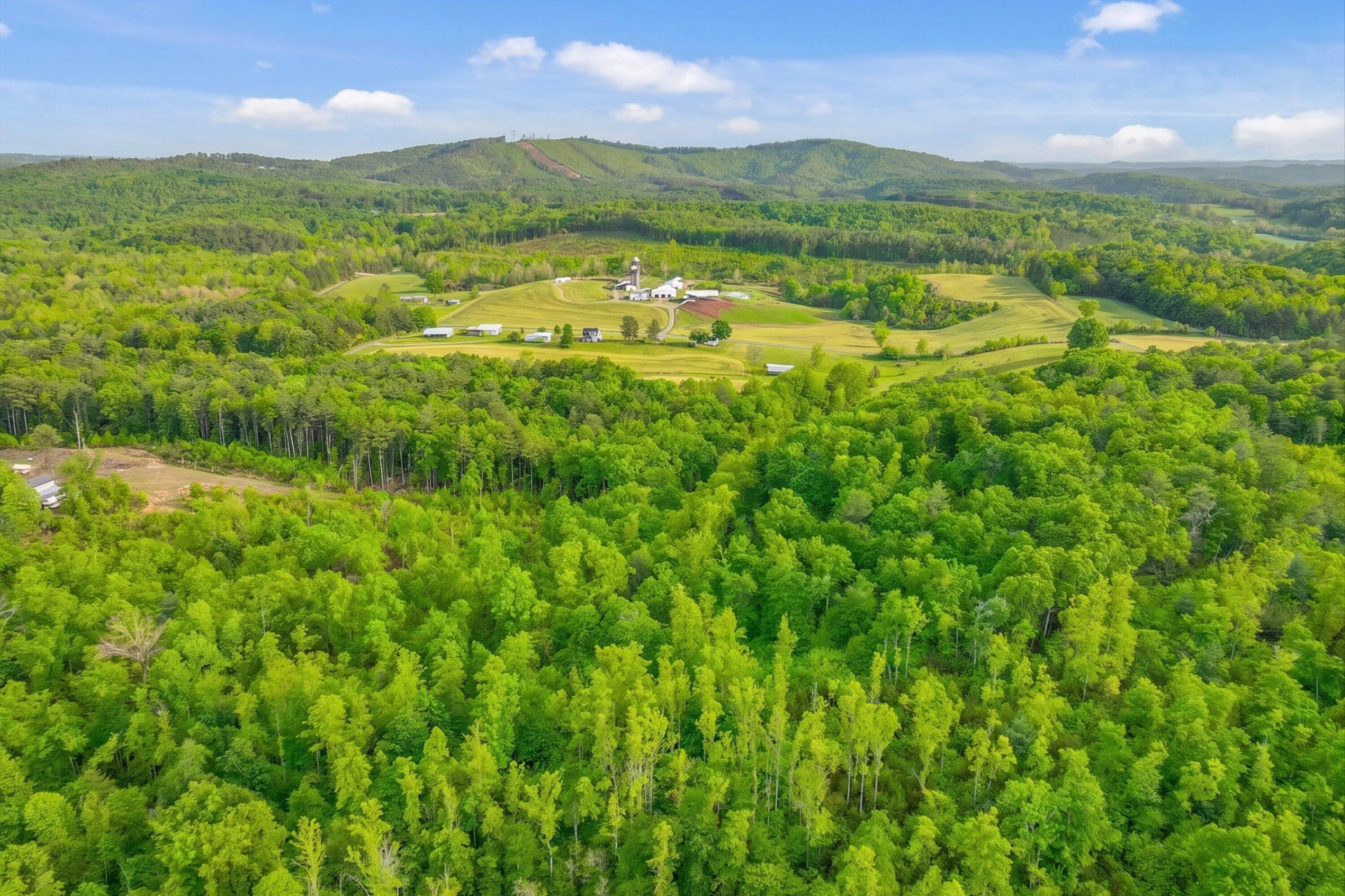 183 Pernello RD - Photo 8