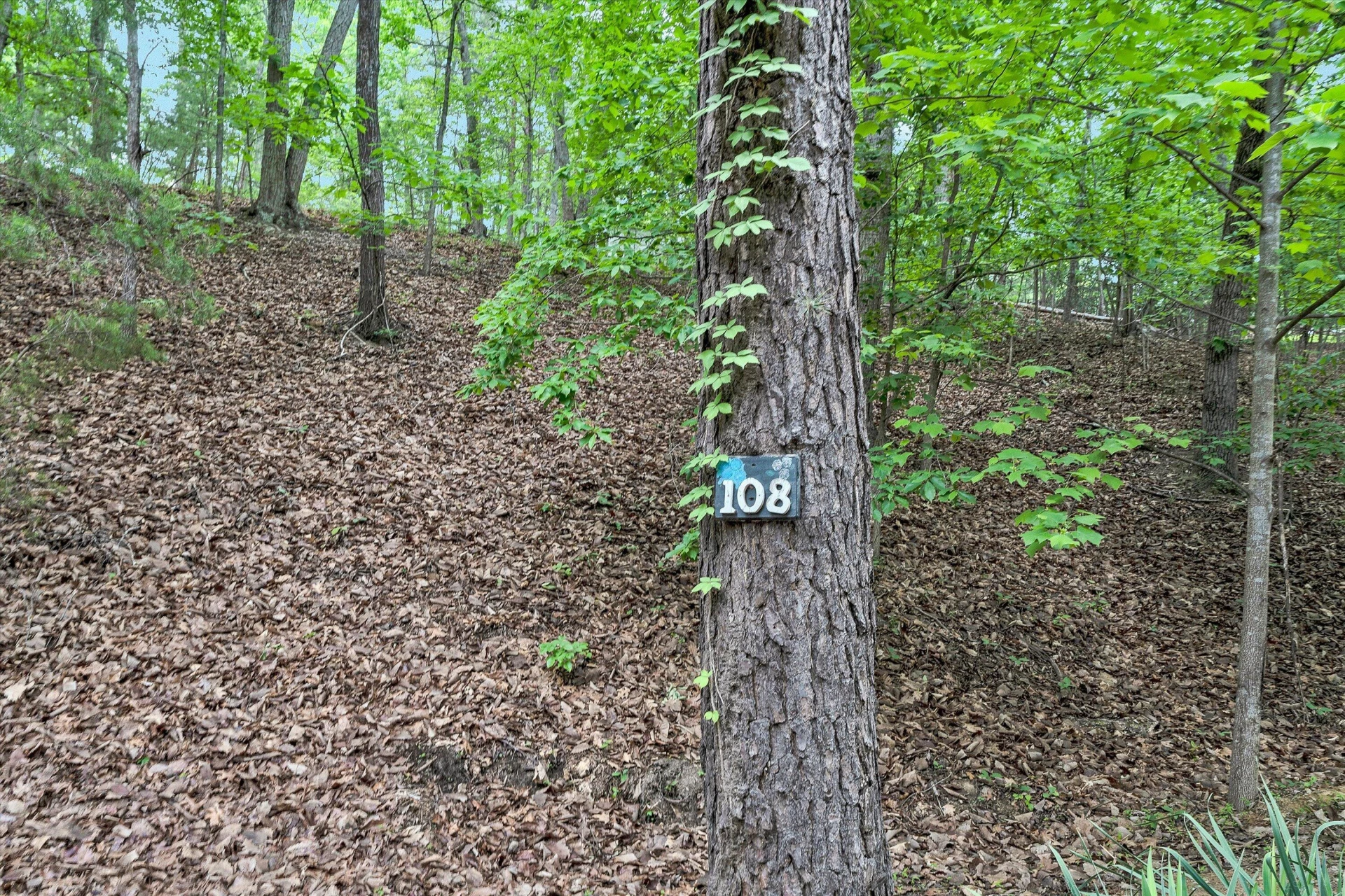 108 Mountain Lane TER - Photo 32