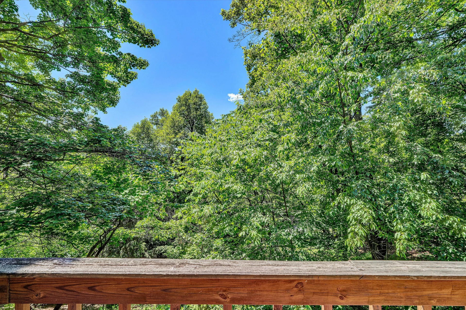 6275 Smokey Ridge RD - Photo 17