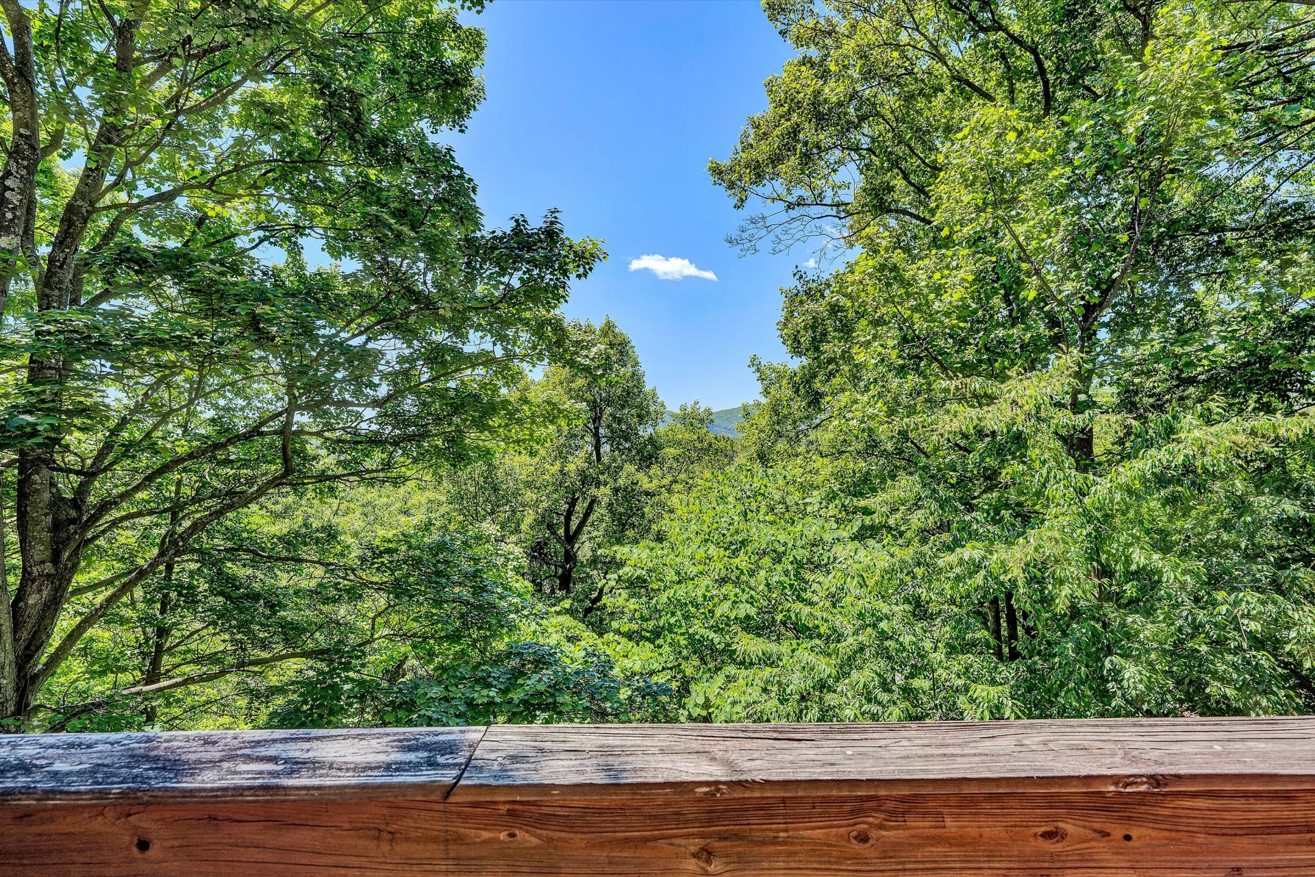 6275 Smokey Ridge RD - Photo 25