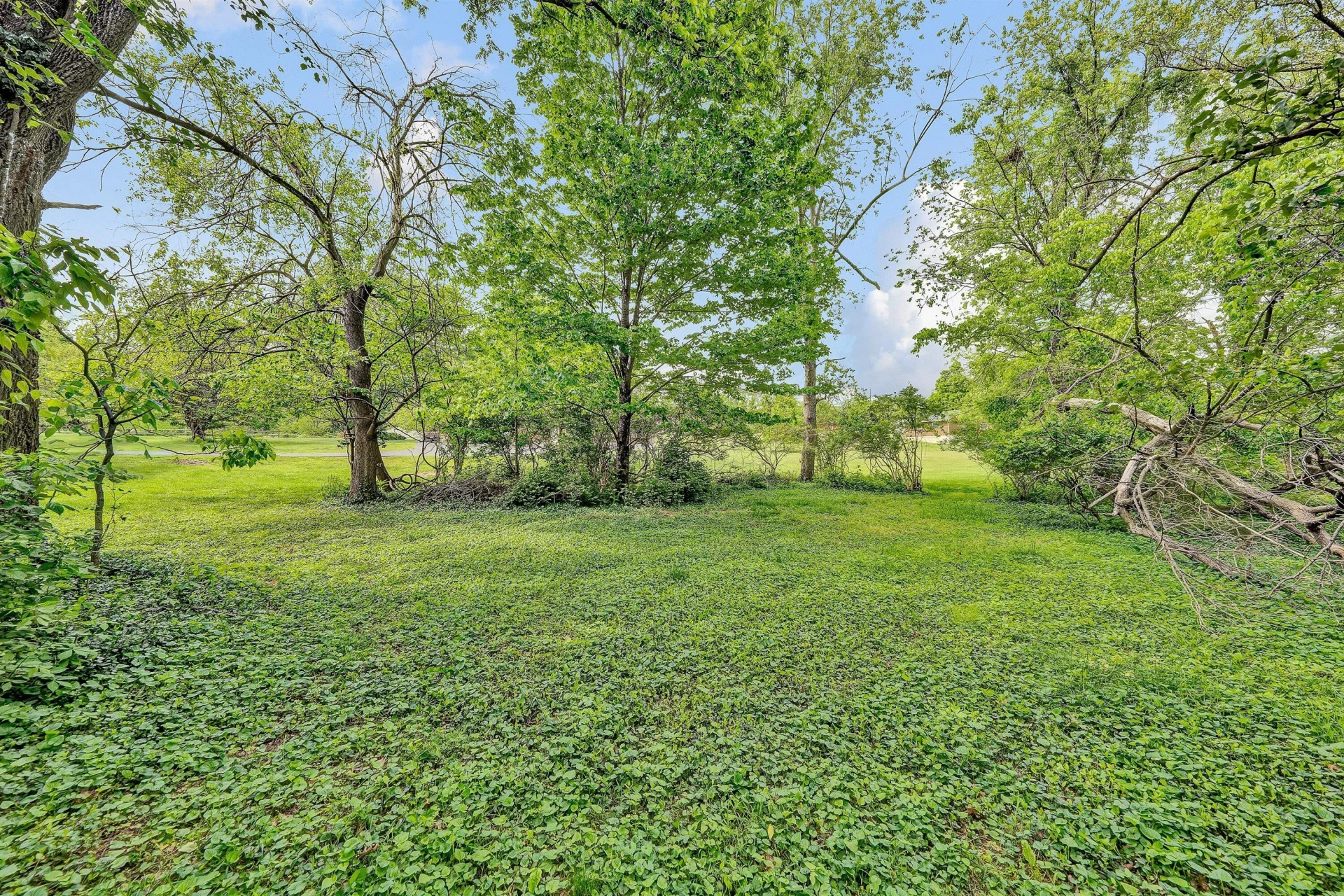 6915 Tinkerdale RD - Photo 18