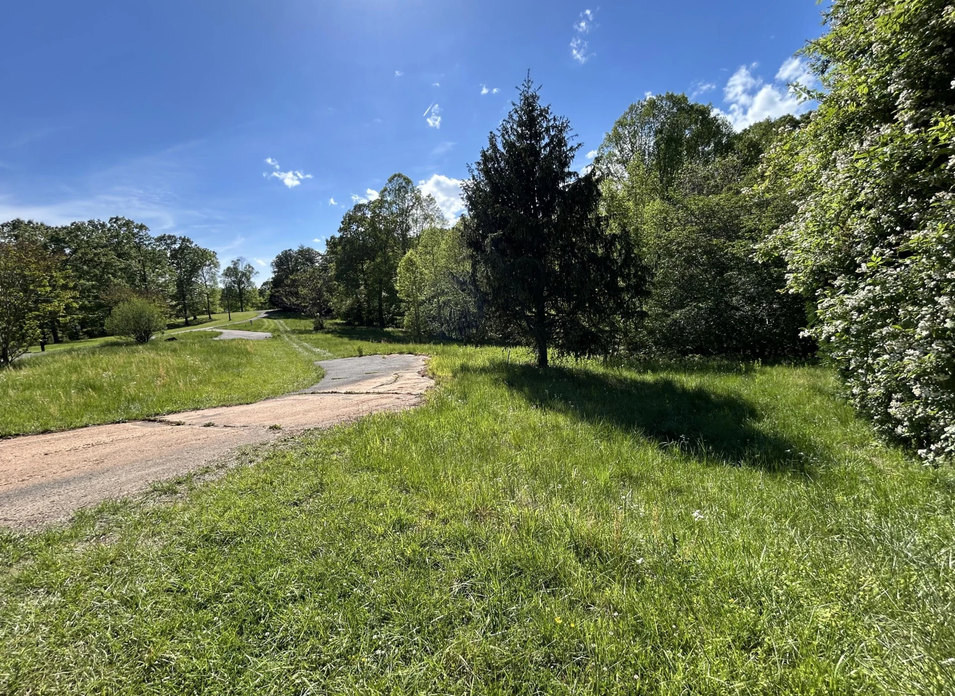 207 & 211 Scenic DR - Photo 3