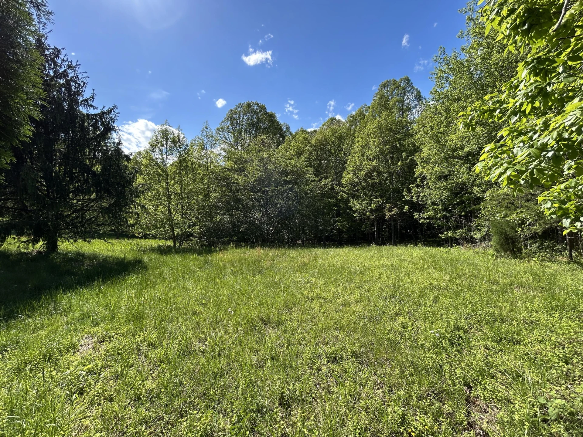 207 & 211 Scenic DR - Photo 4