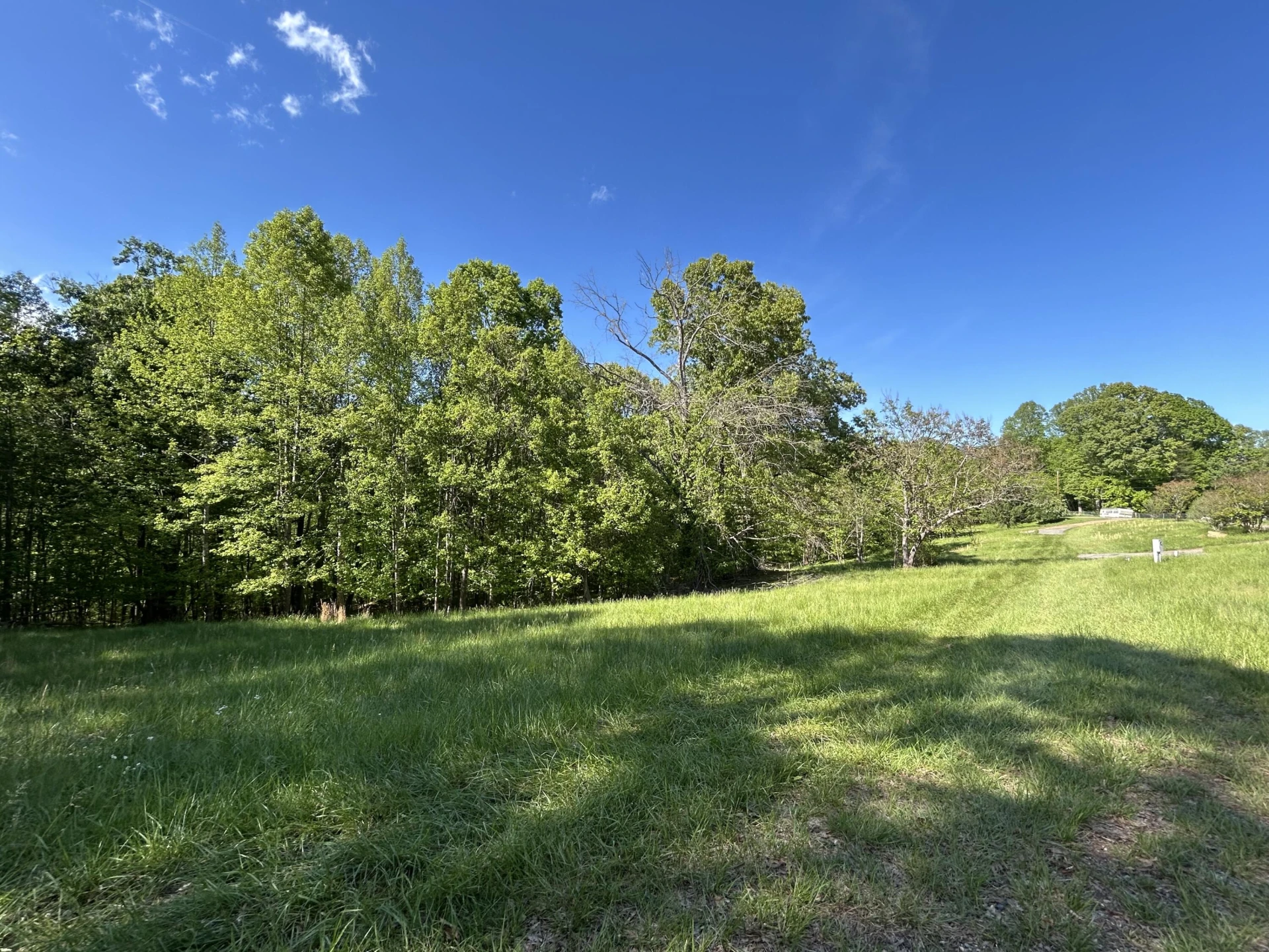 207 Scenic DR