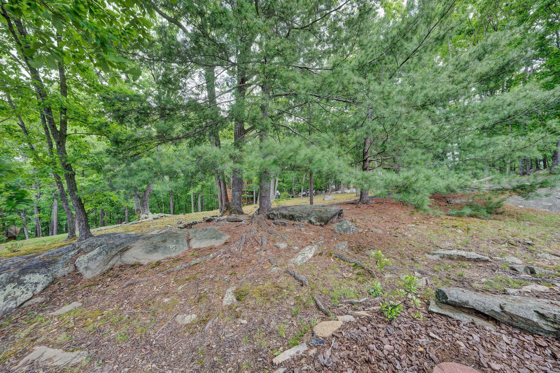 25 Timbers CIR - Photo 44