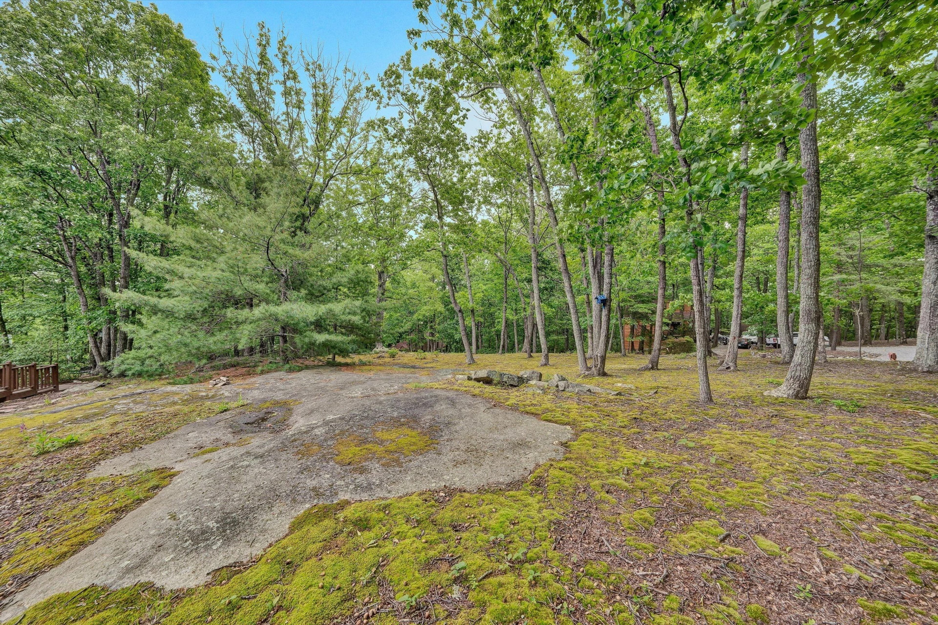 25 Timbers CIR - Photo 46