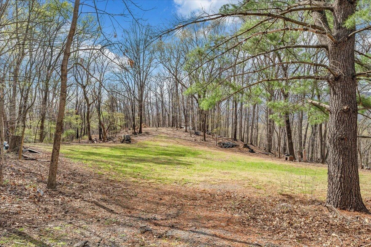 1450 Blackwood DR - Photo 4