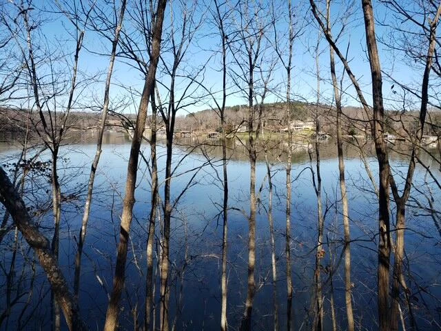 Lot 6 Lake Knoll RD - Photo 8