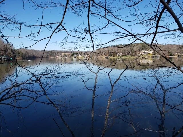Lot 6 Lake Knoll RD - Photo 9