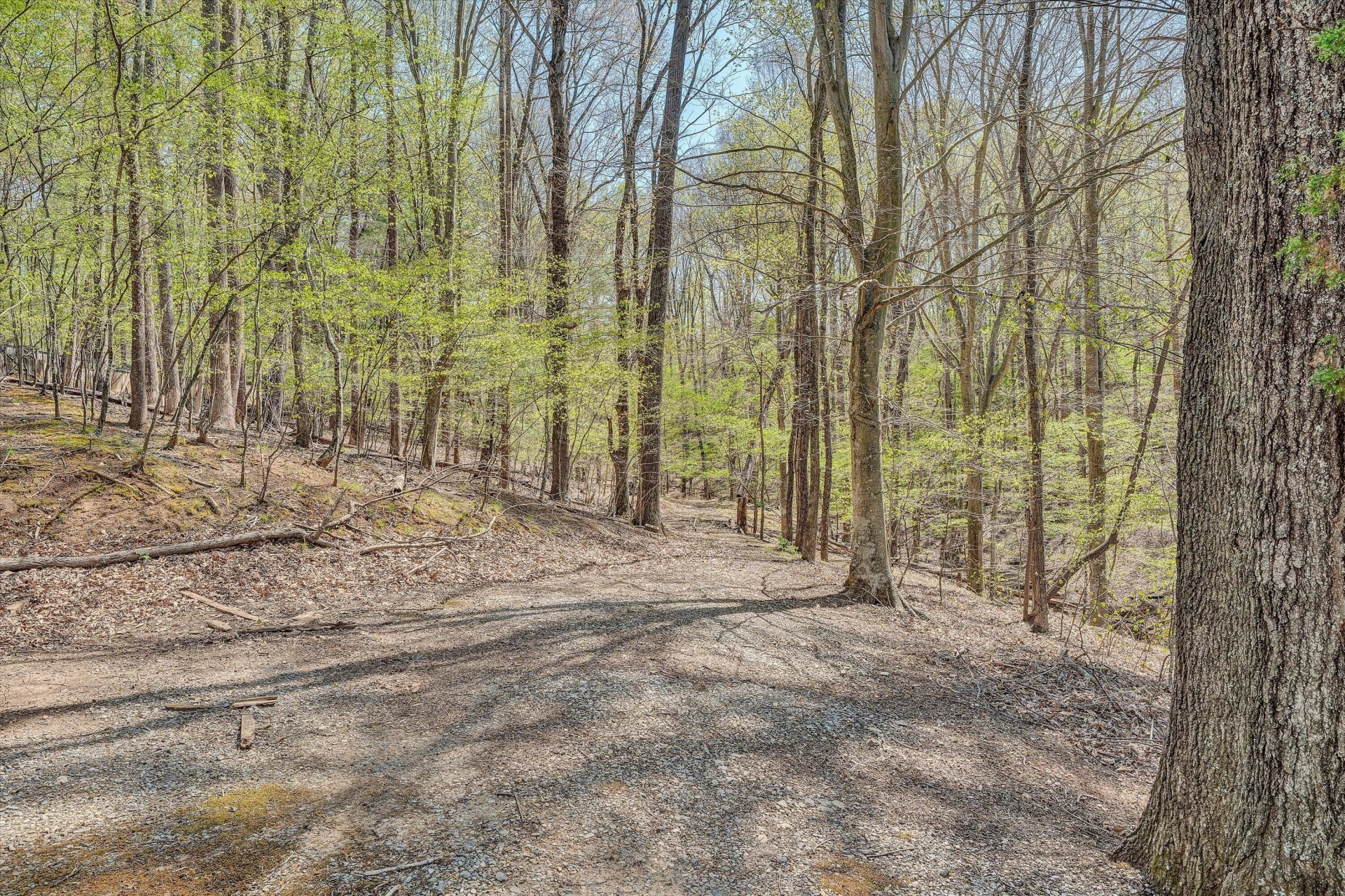 143 Charlotte LN - Photo 102