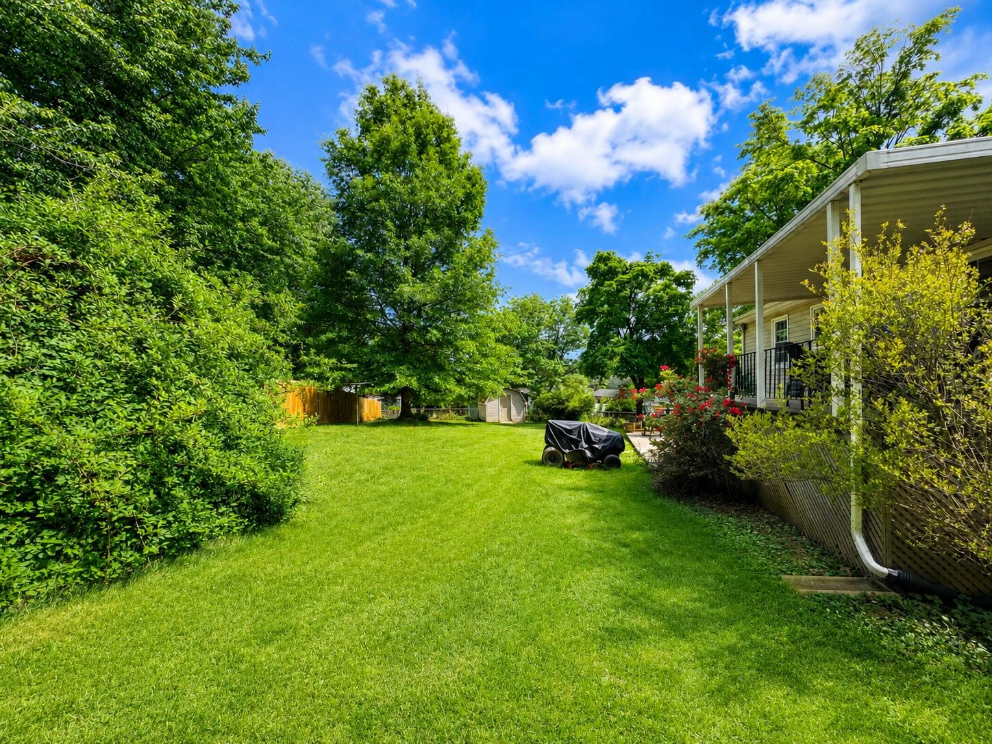 5225 Foxtail LN - Photo 48