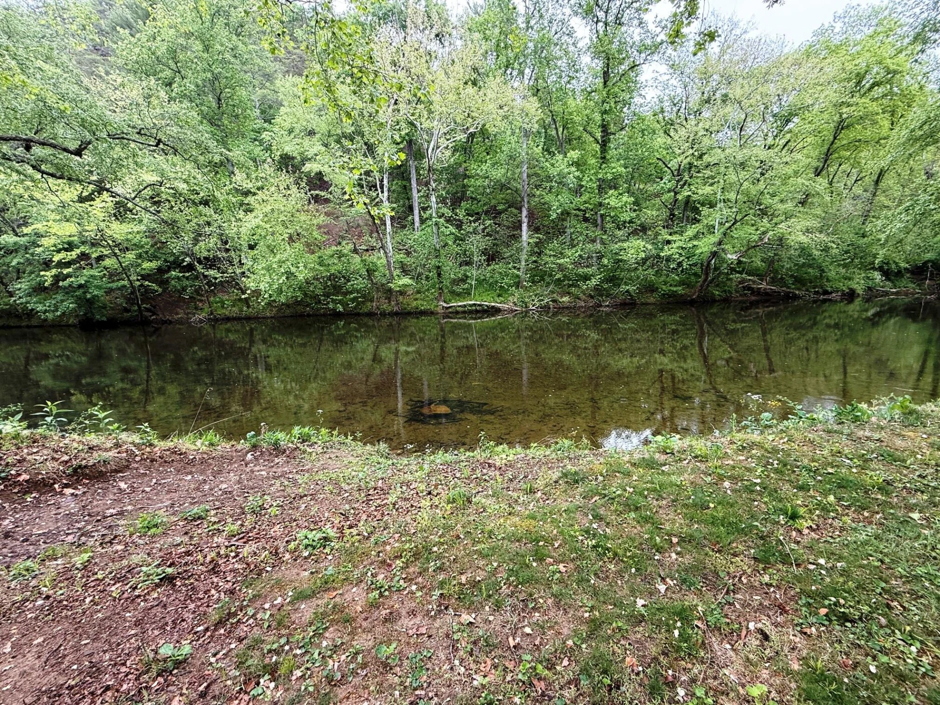 299 Patton DR - Photo 4