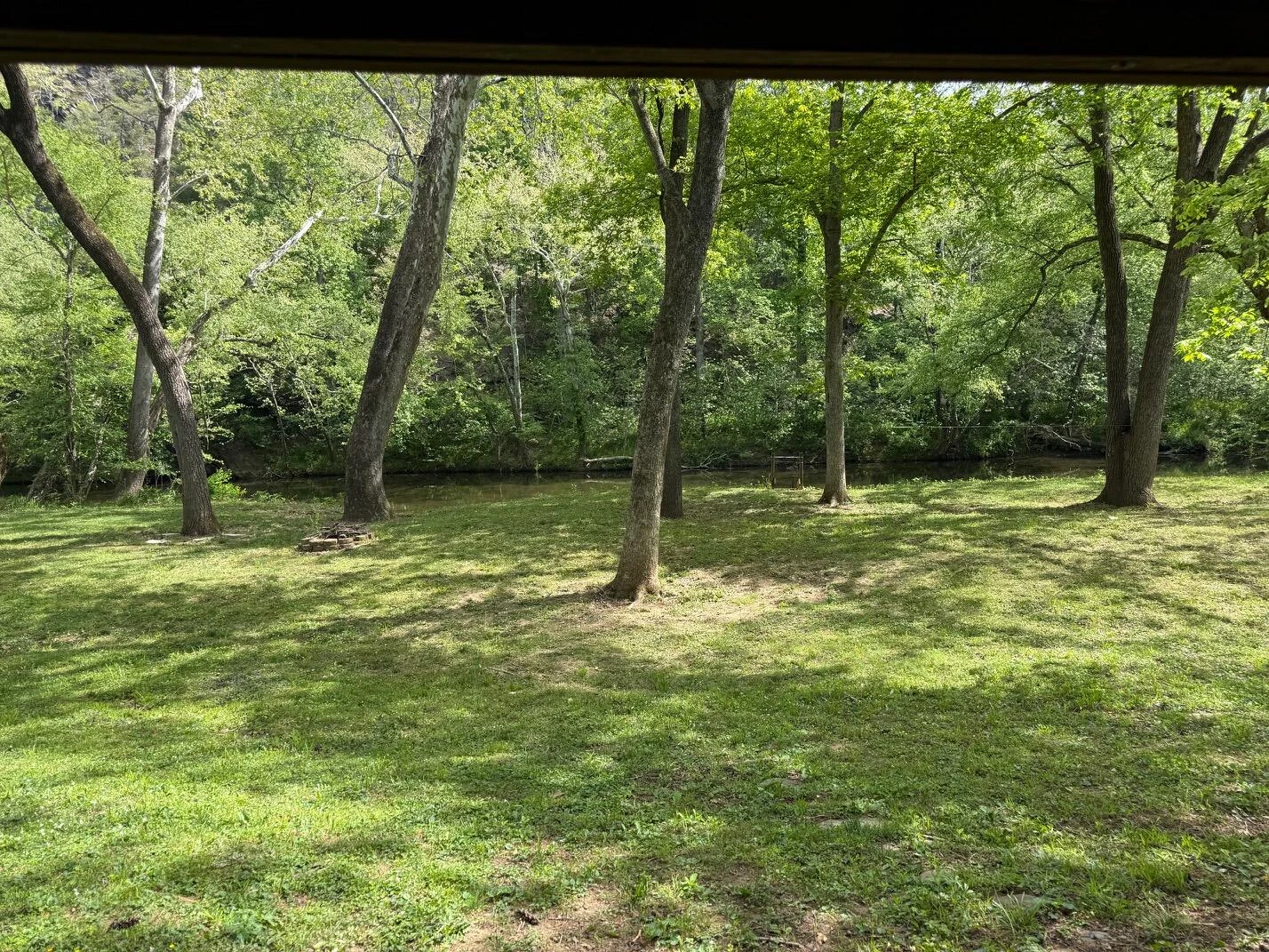 299 Patton DR - Photo 6