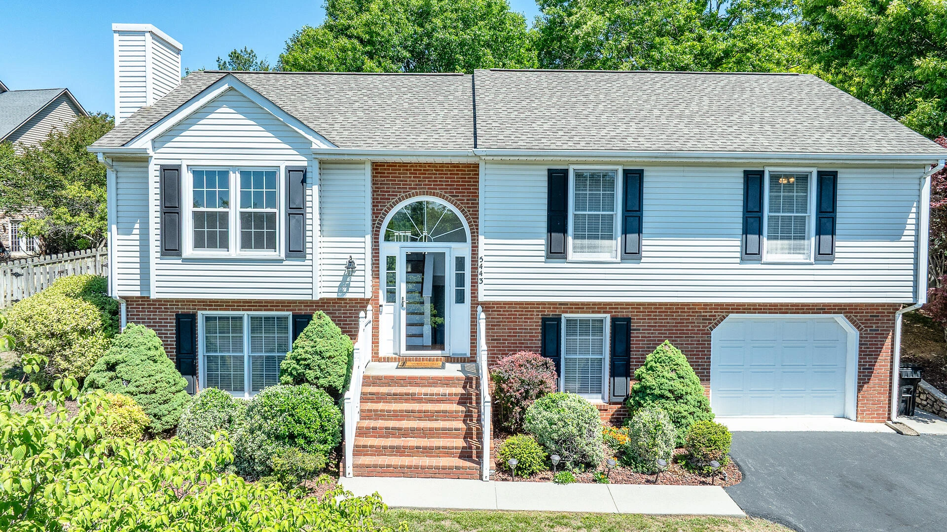 5443 Setter RD