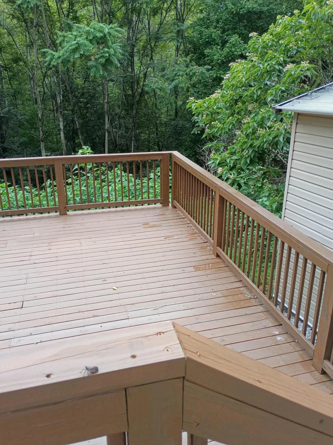 1431 Thomasson Mill RD - Photo 13