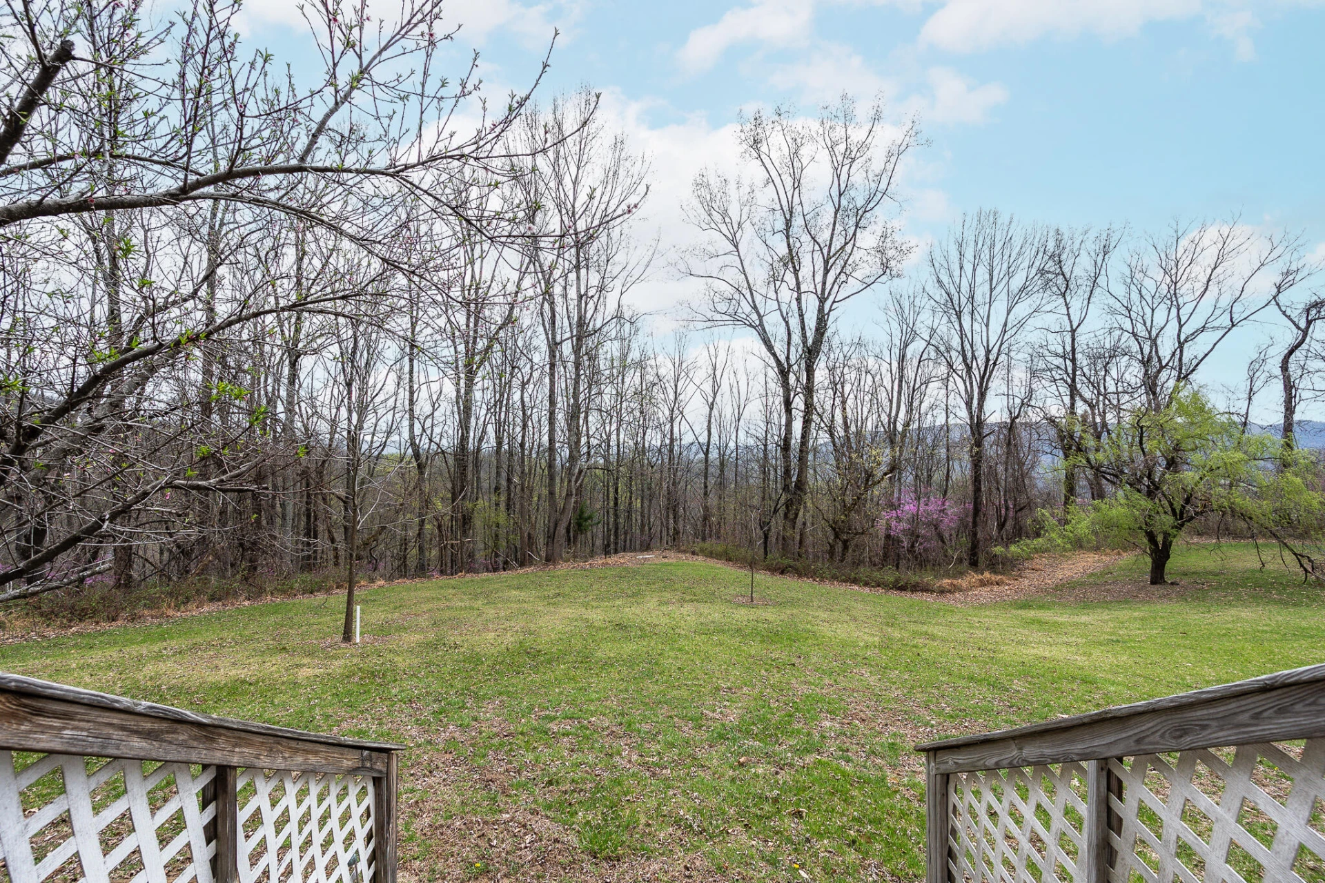 4400 Murray Hollow RD - Photo 49