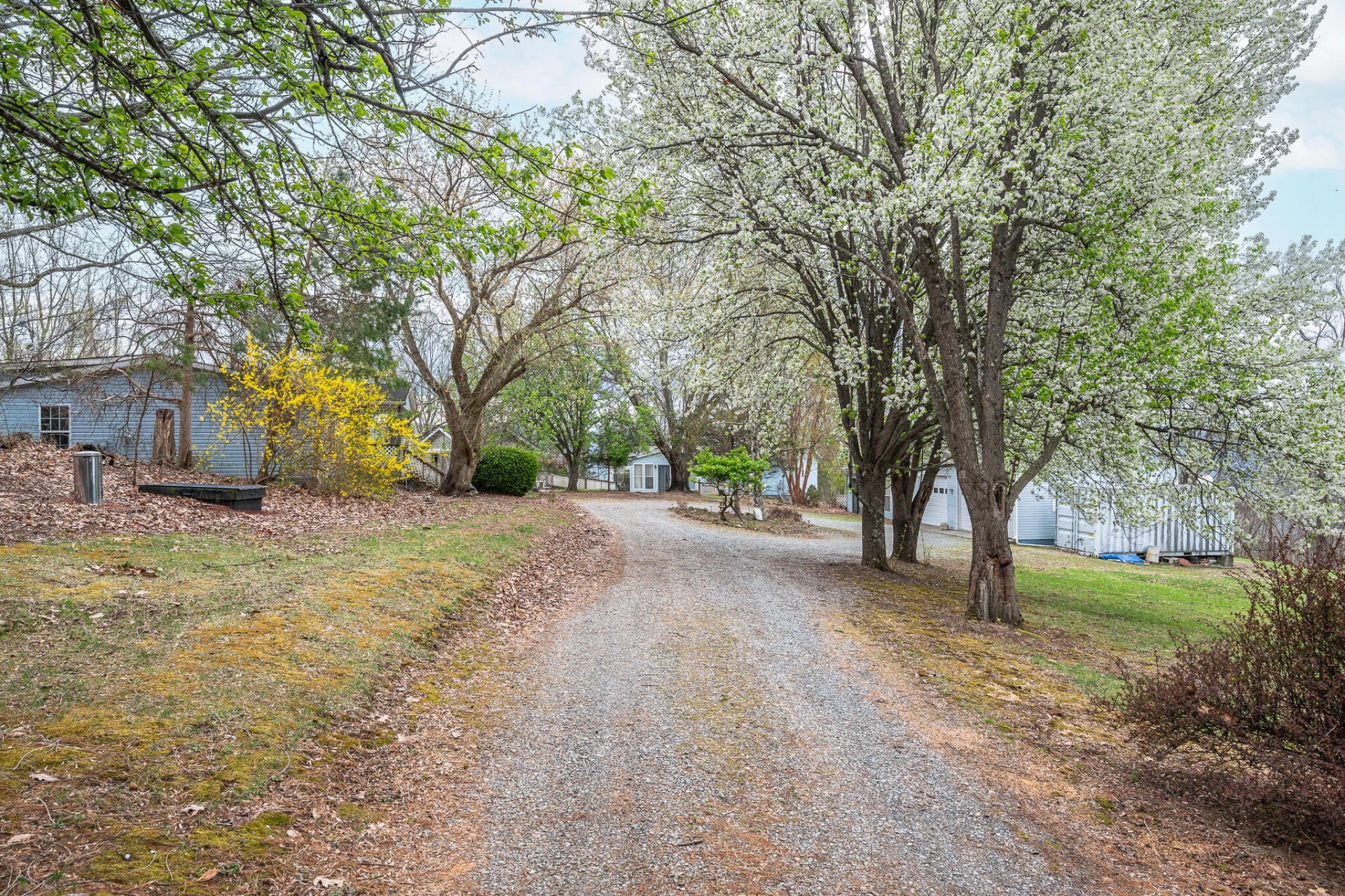 4400 Murray Hollow RD - Photo 50