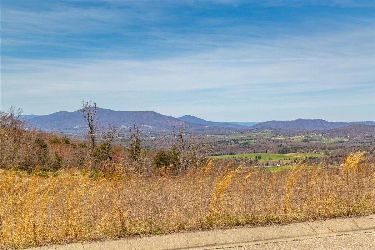 Lot 65 Penny LN - Photo 4