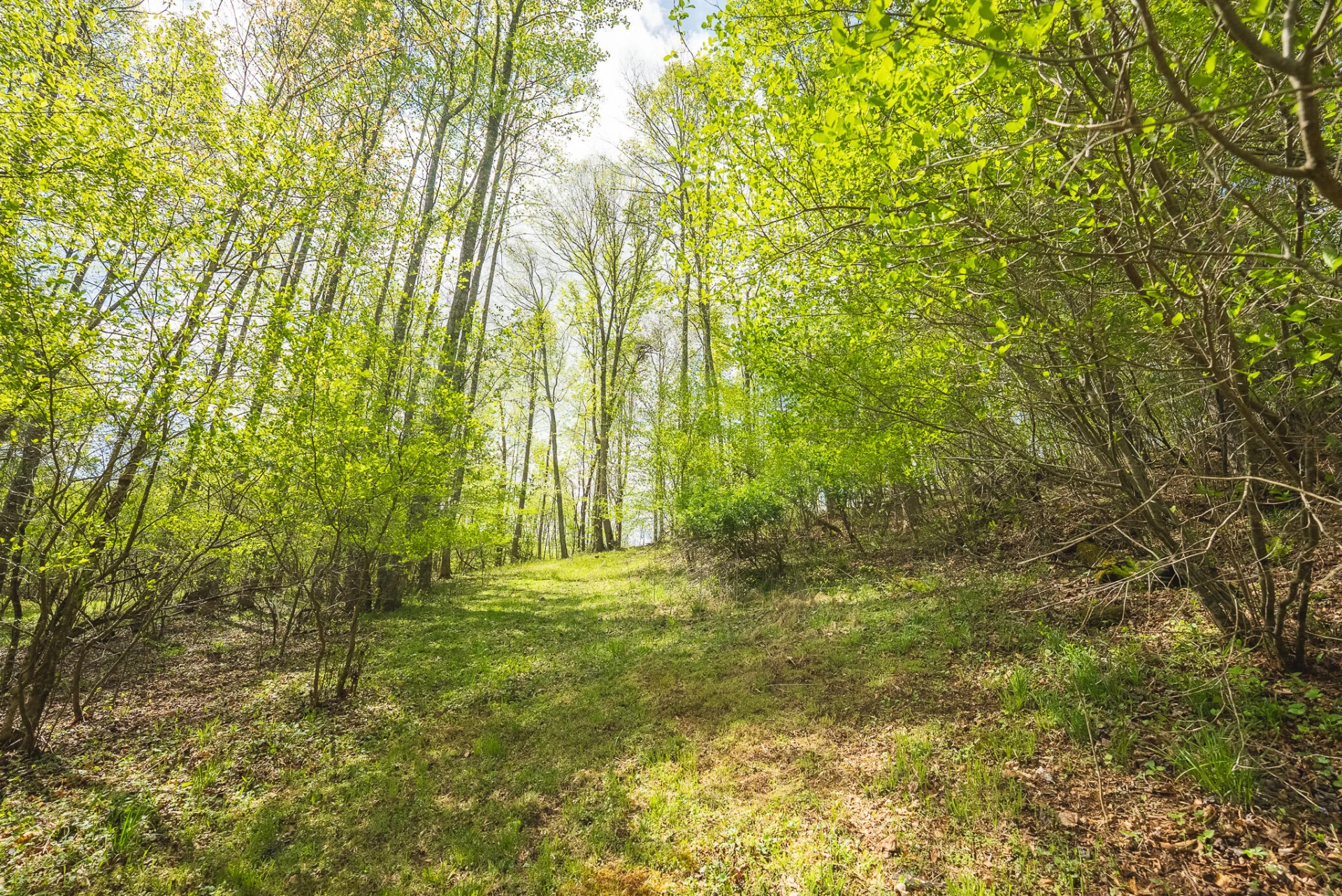 146 Duvall RD - Photo 13
