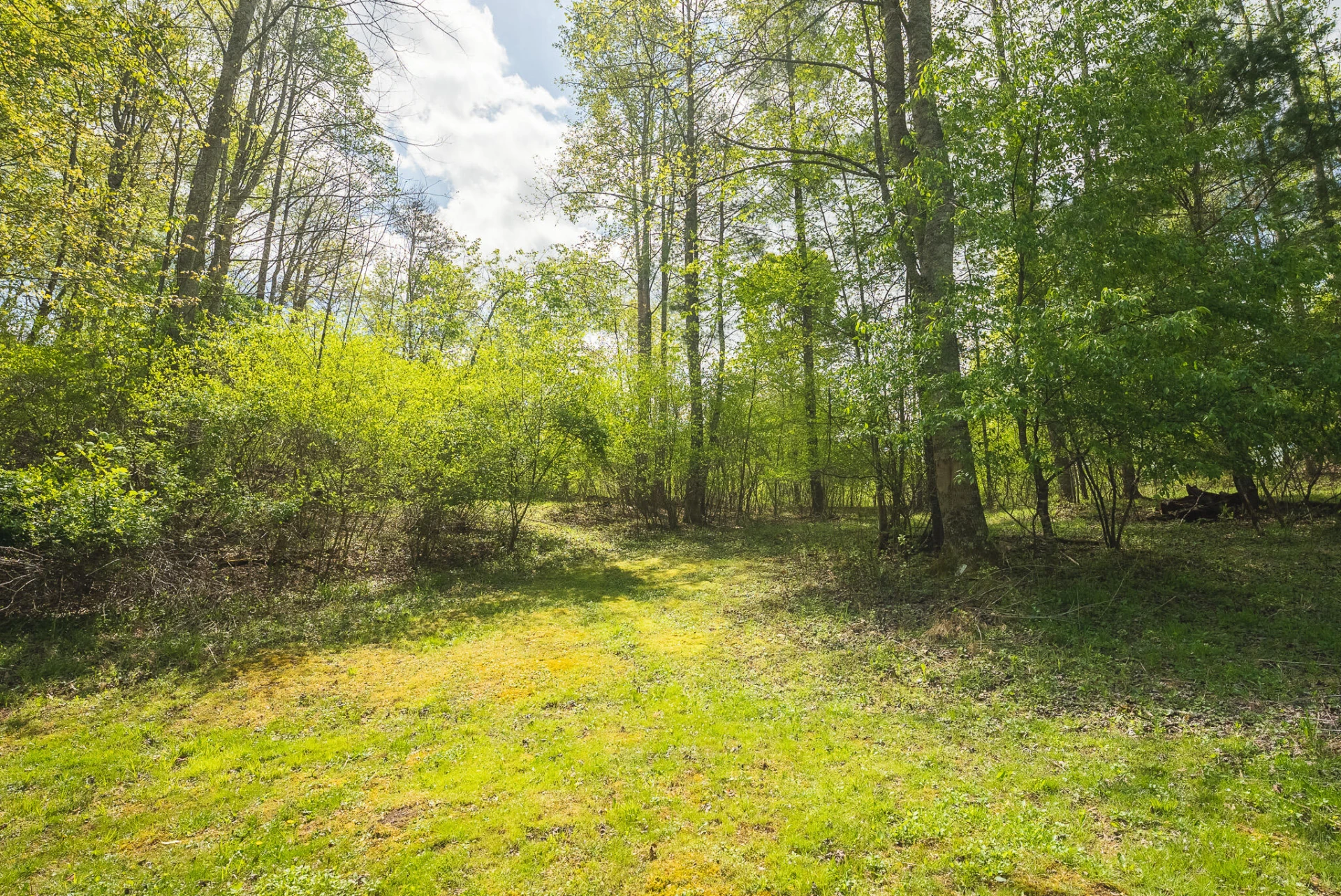146 Duvall RD - Photo 17