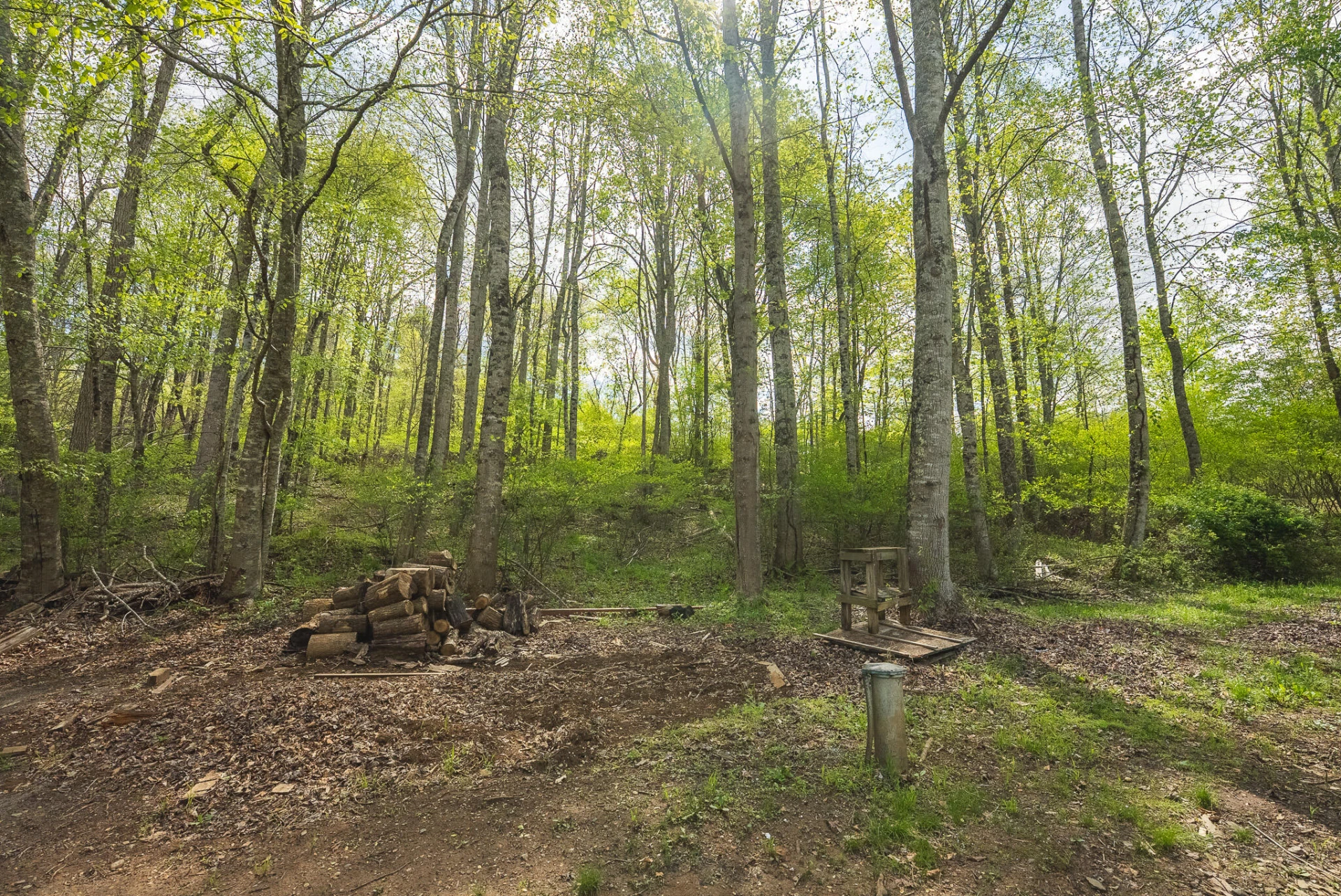 146 Duvall RD - Photo 23