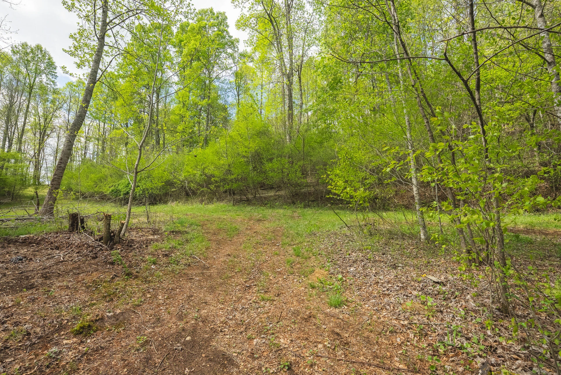 146 Duvall RD - Photo 8