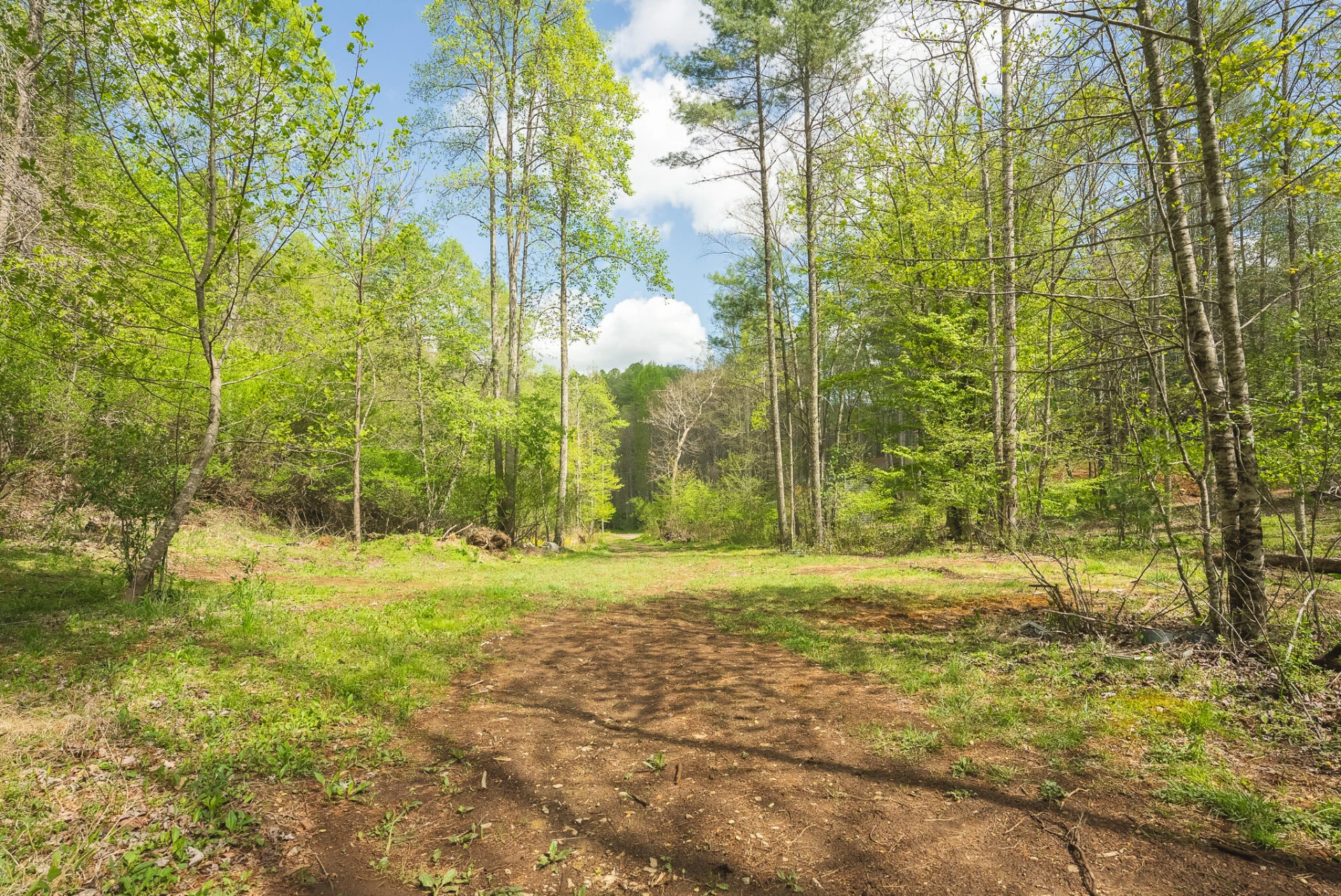 146 Duvall RD - Photo 9