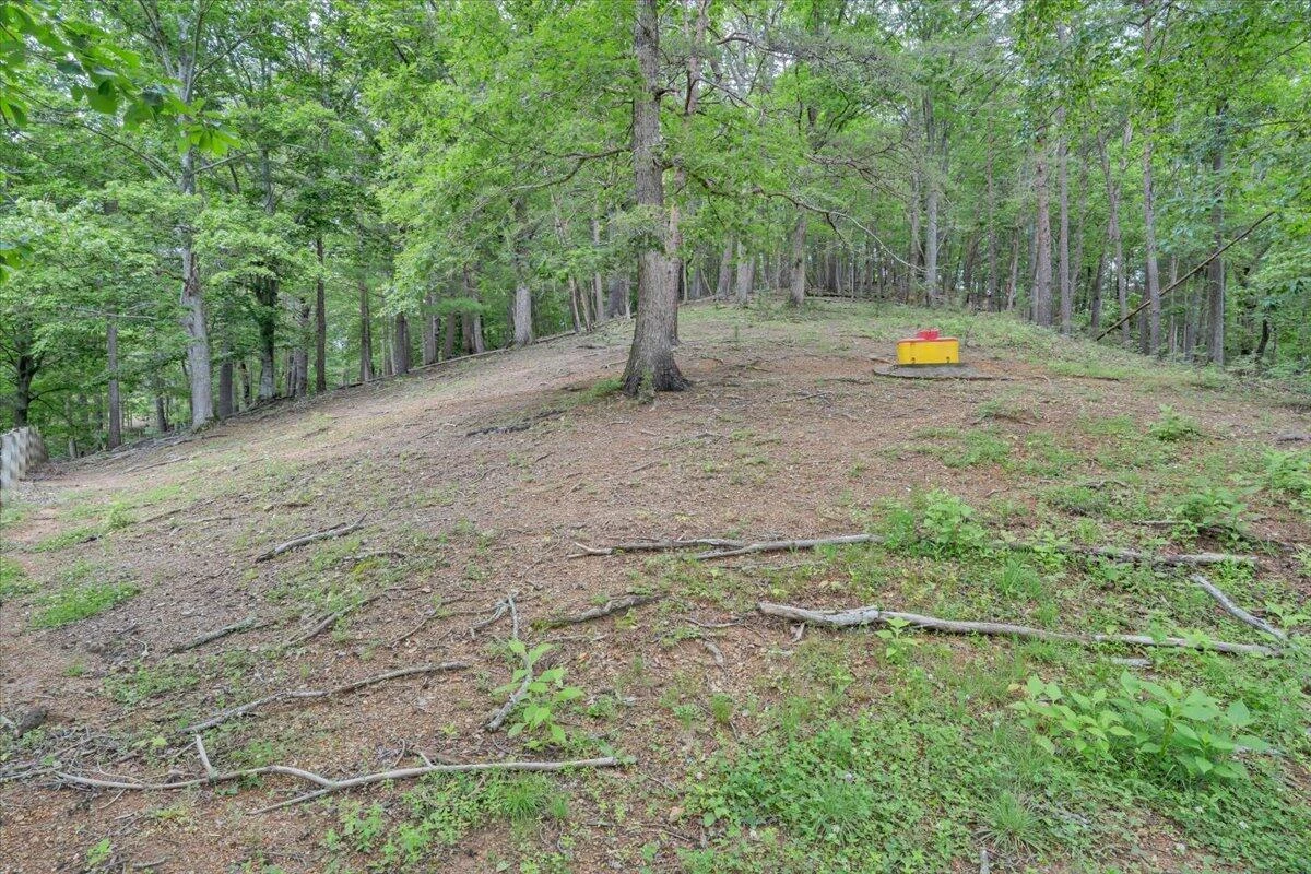 811 Arcadia RD - Photo 39