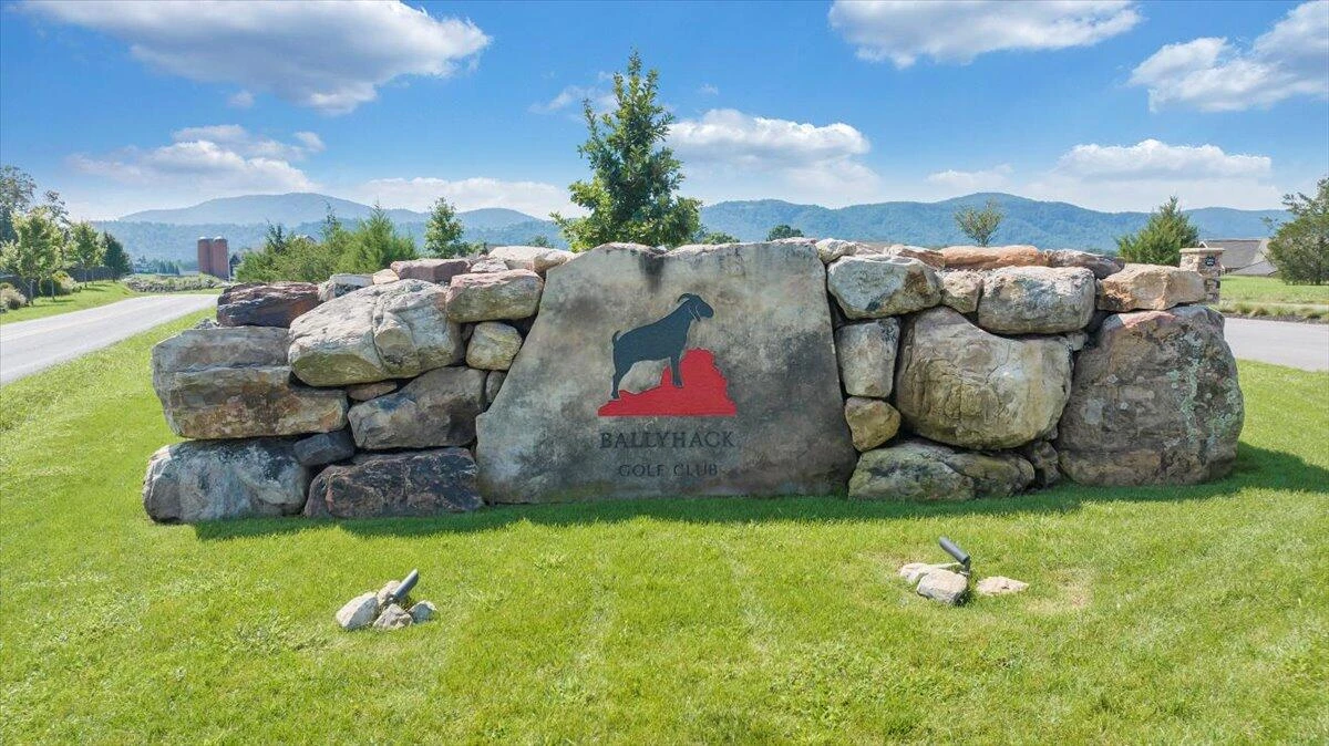 3878 Ballyhack TRL - Photo 5