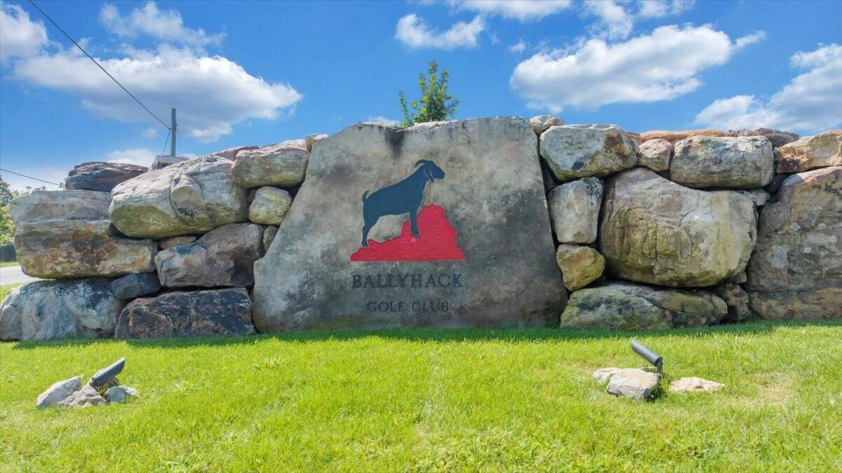 3878 Ballyhack TRL - Photo 51
