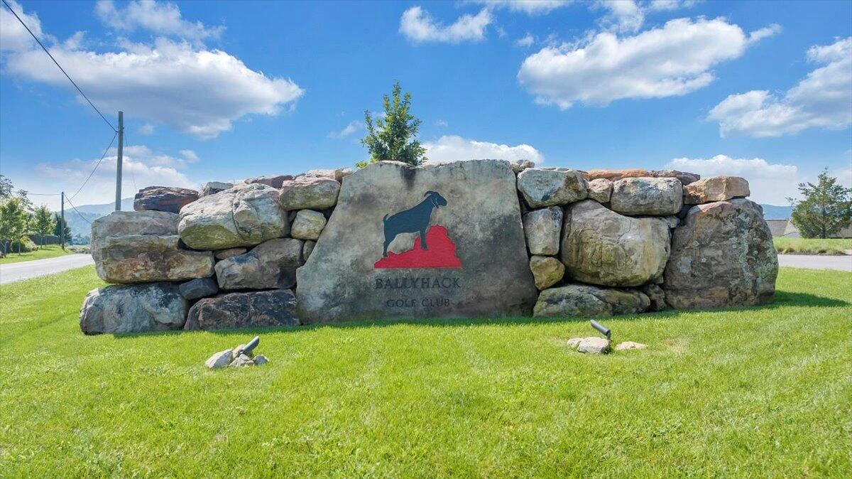 3878 Ballyhack TRL - Photo 52