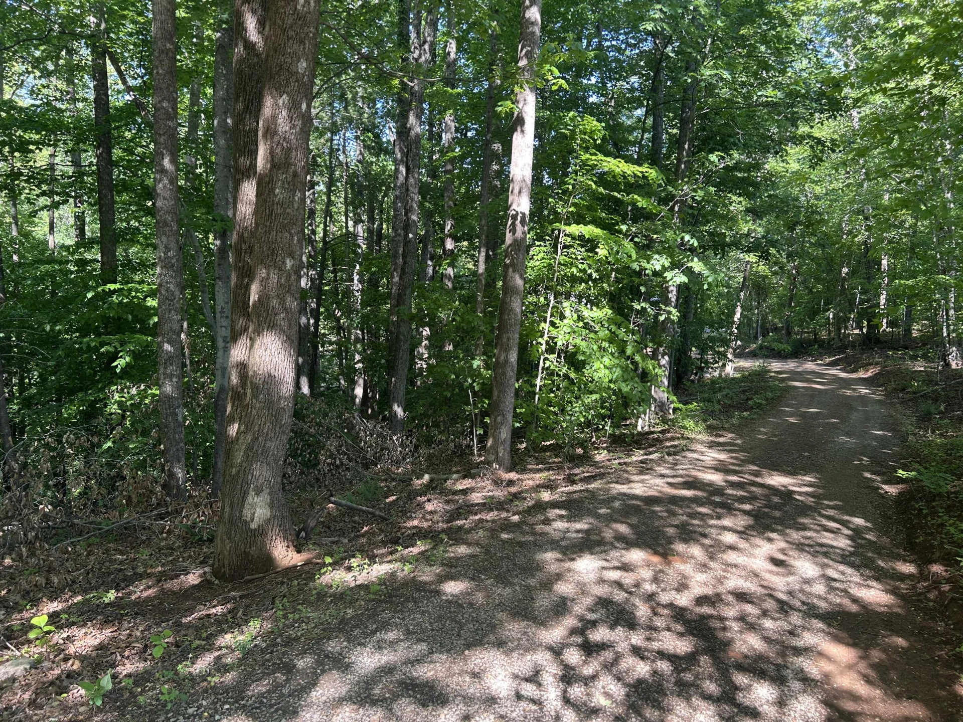 181 S Narrows RD - Photo 2
