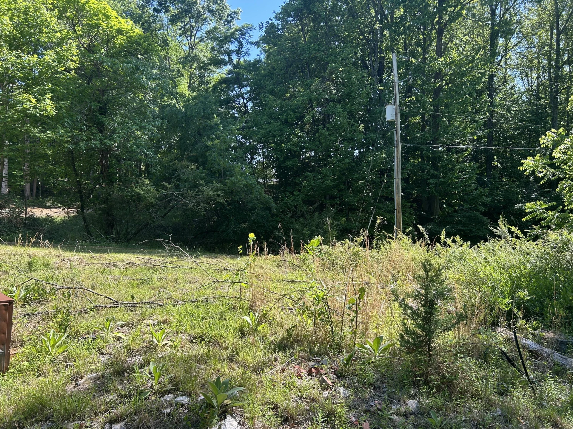 181 S Narrows RD - Photo 3