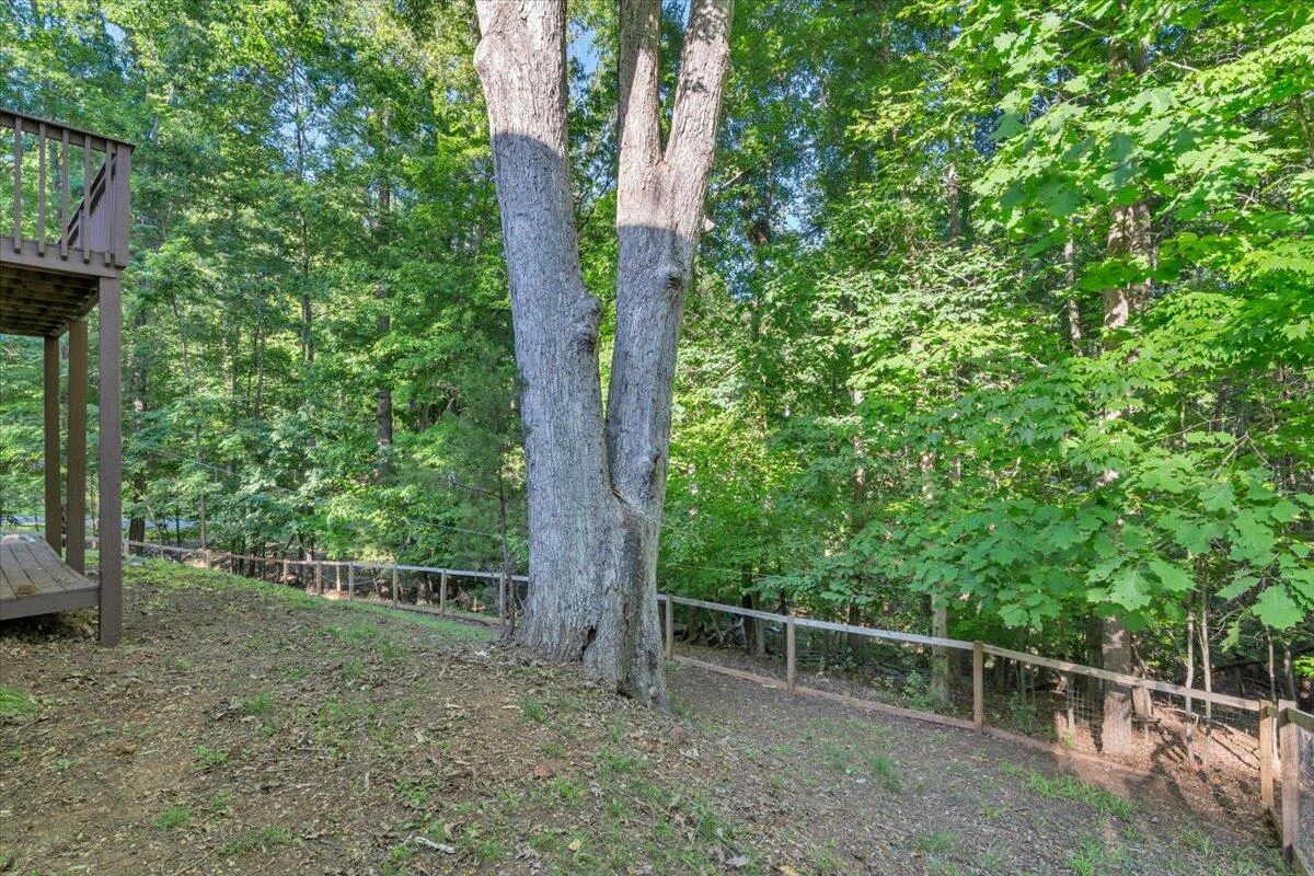 1044 Striper CT - Photo 41