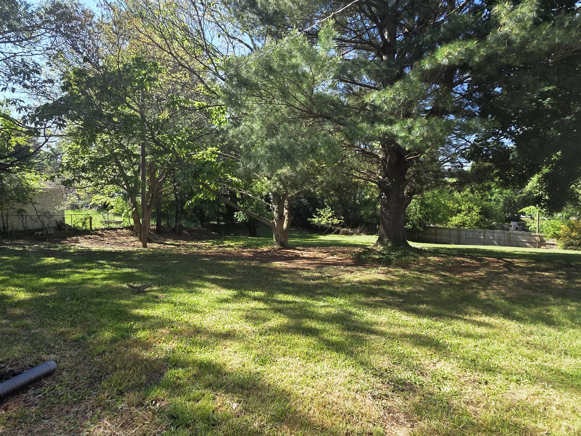 1028 Carson ST - Photo 27