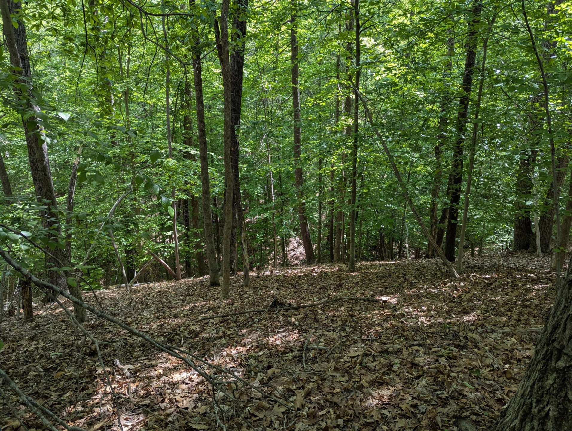 0 Regency BLVD - Photo 11
