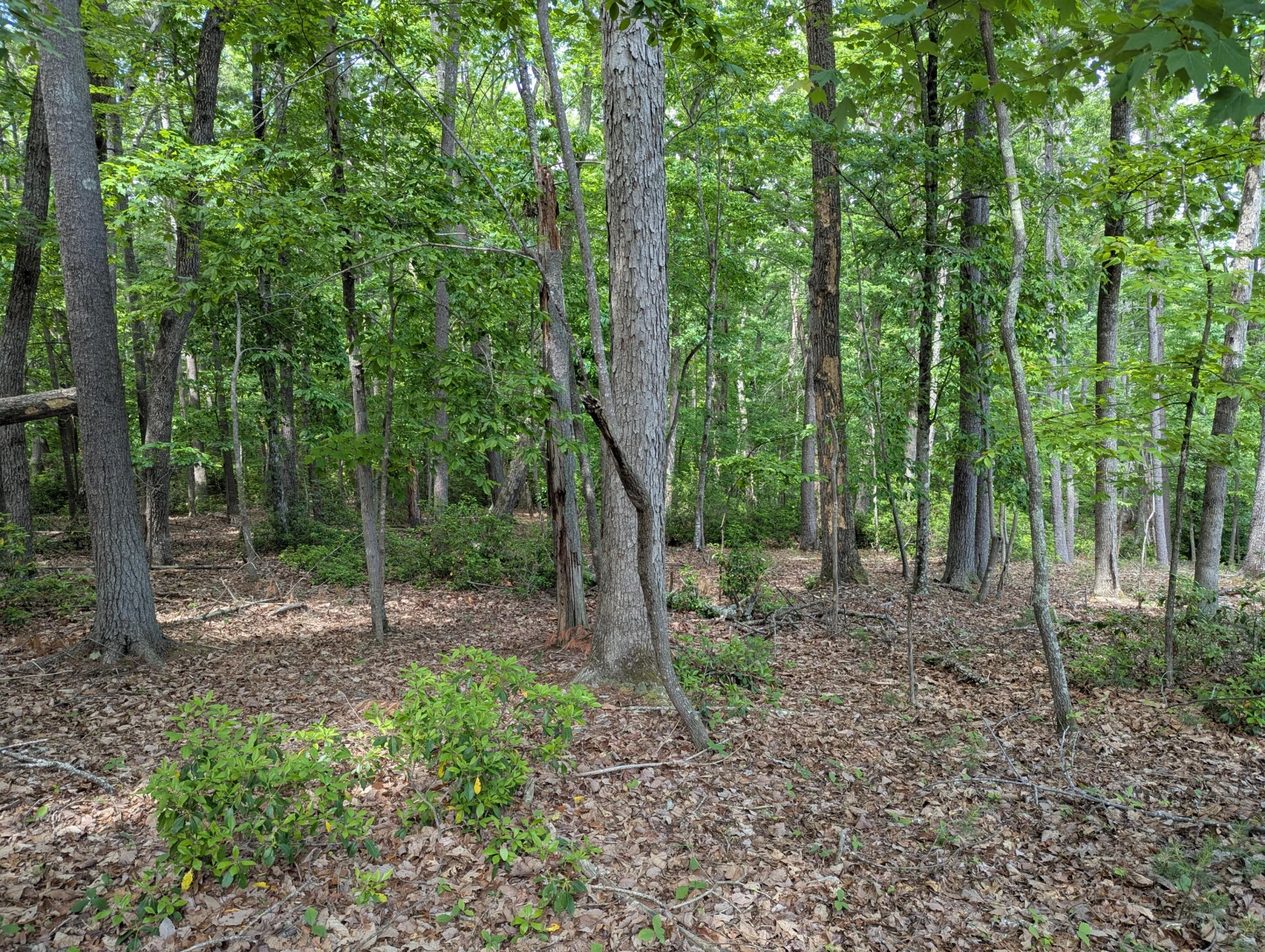 0 Regency BLVD - Photo 5