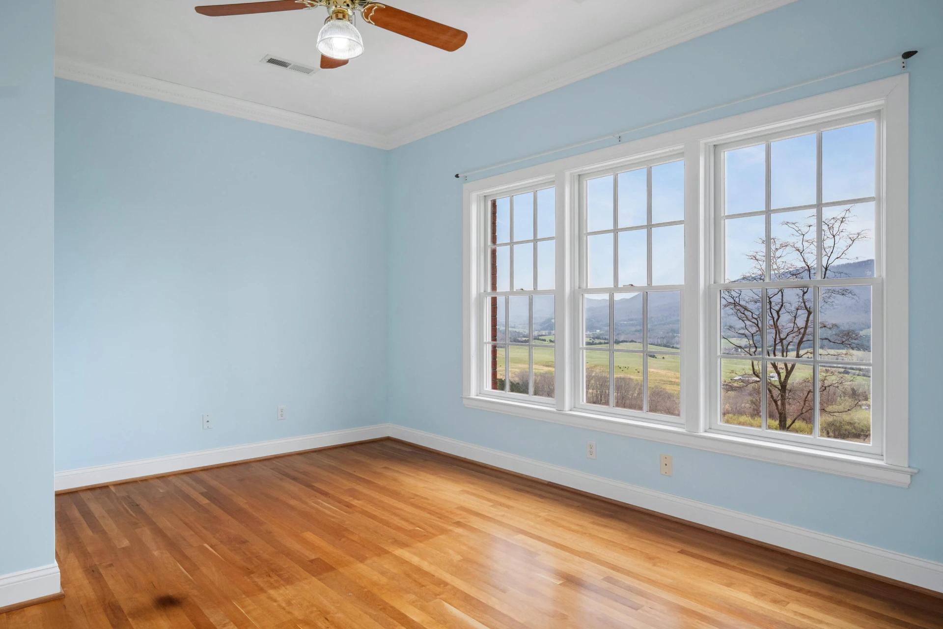 501 Mill Pointe RD - Photo 52