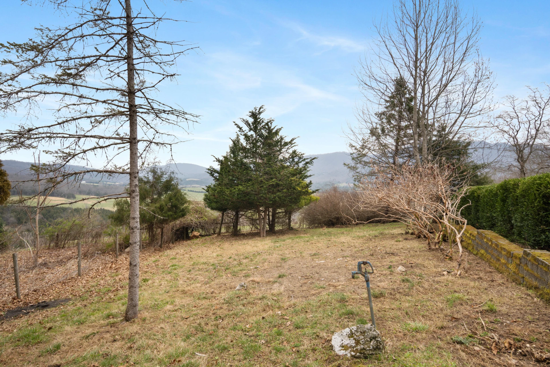 501 Mill Pointe RD - Photo 72