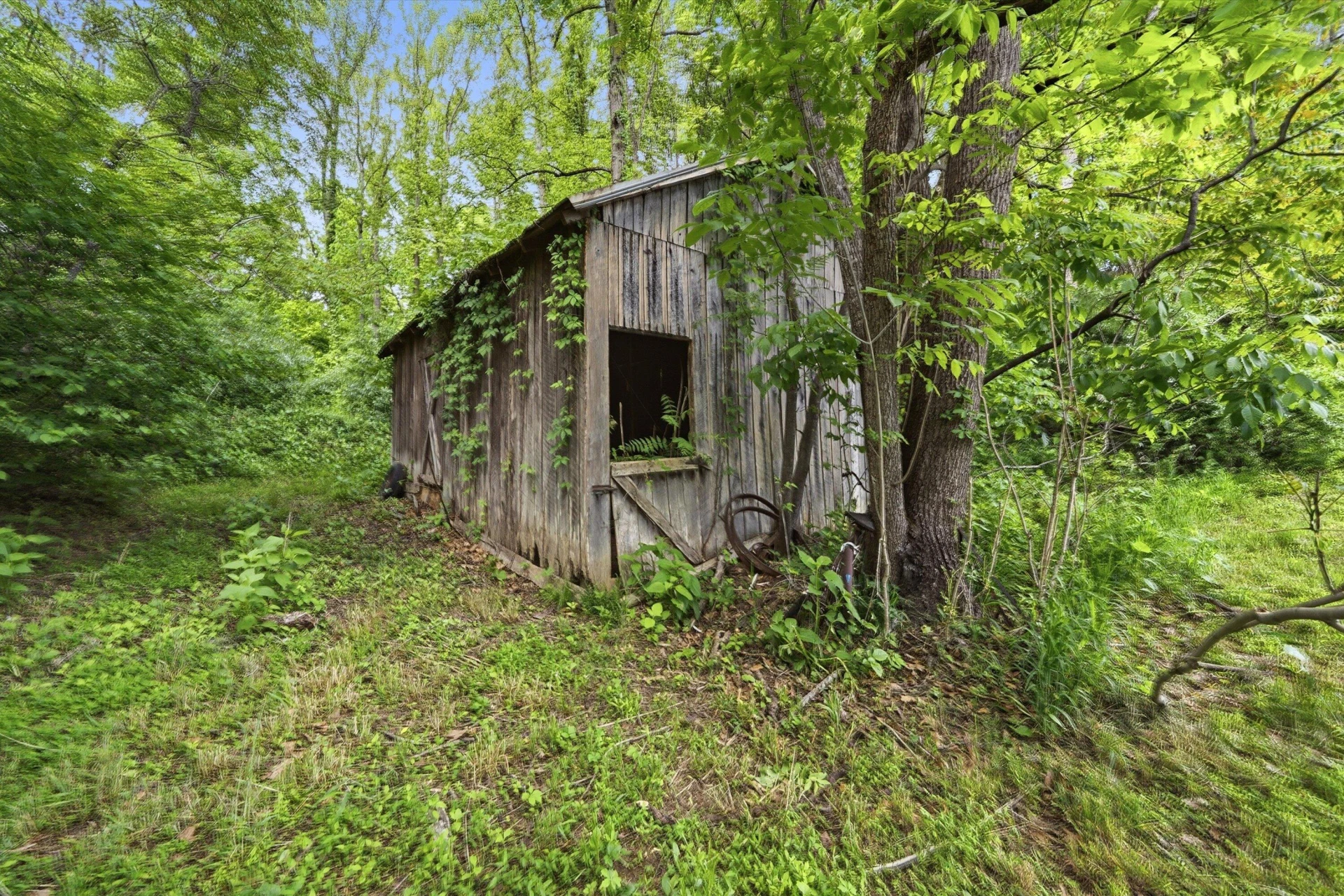 133 Kelsey WAY - Photo 47