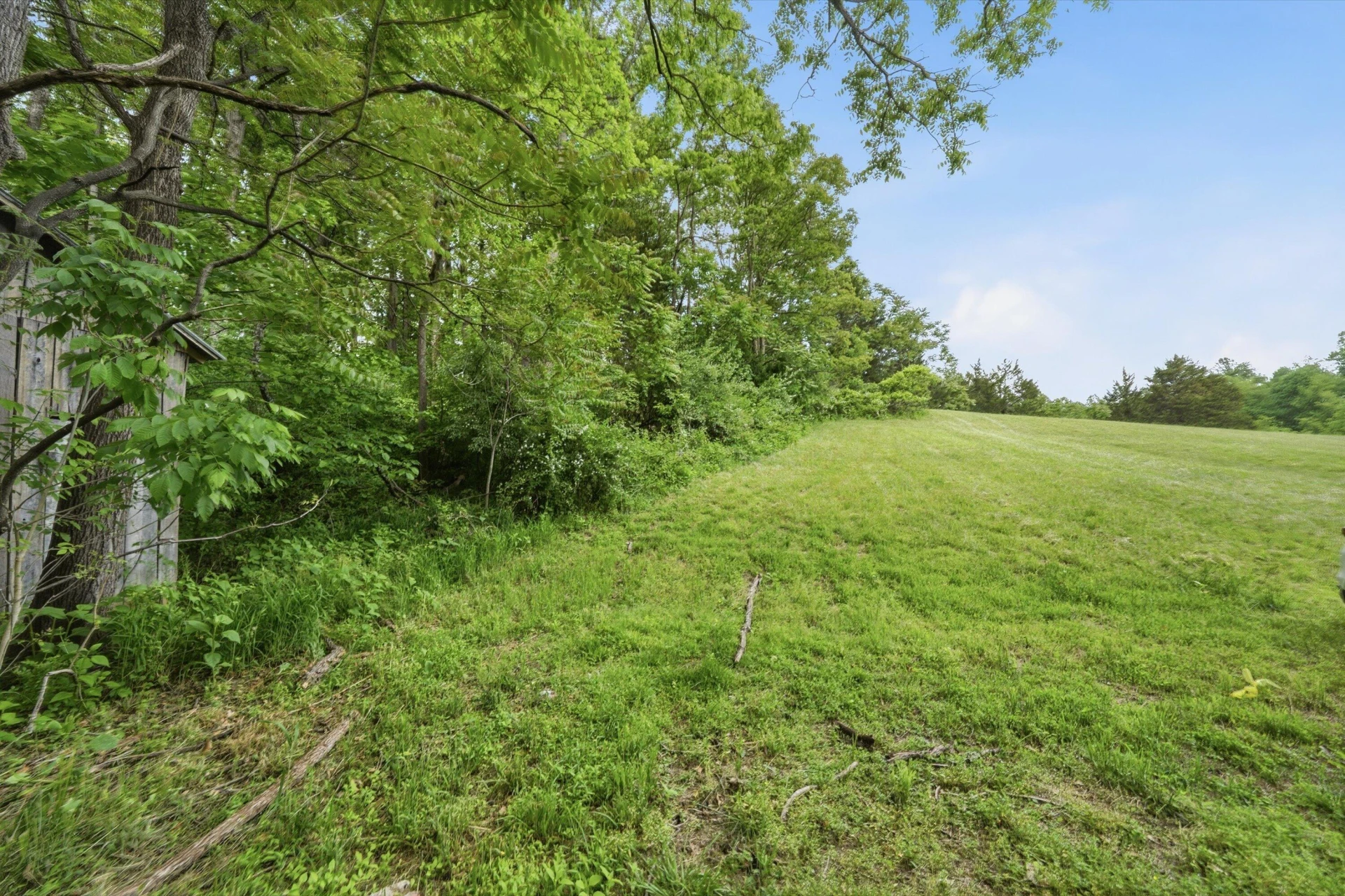 133 Kelsey WAY - Photo 52