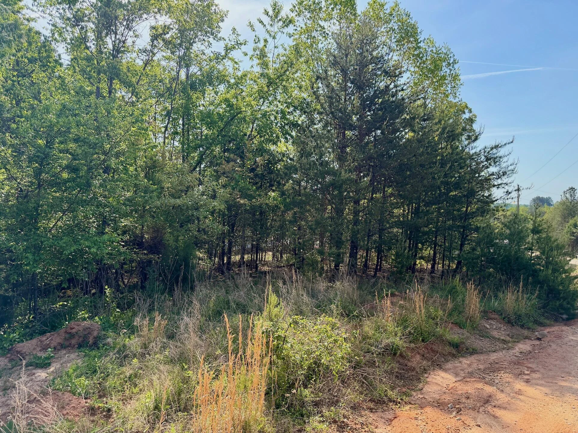 0 River Ridge LN - Photo 11