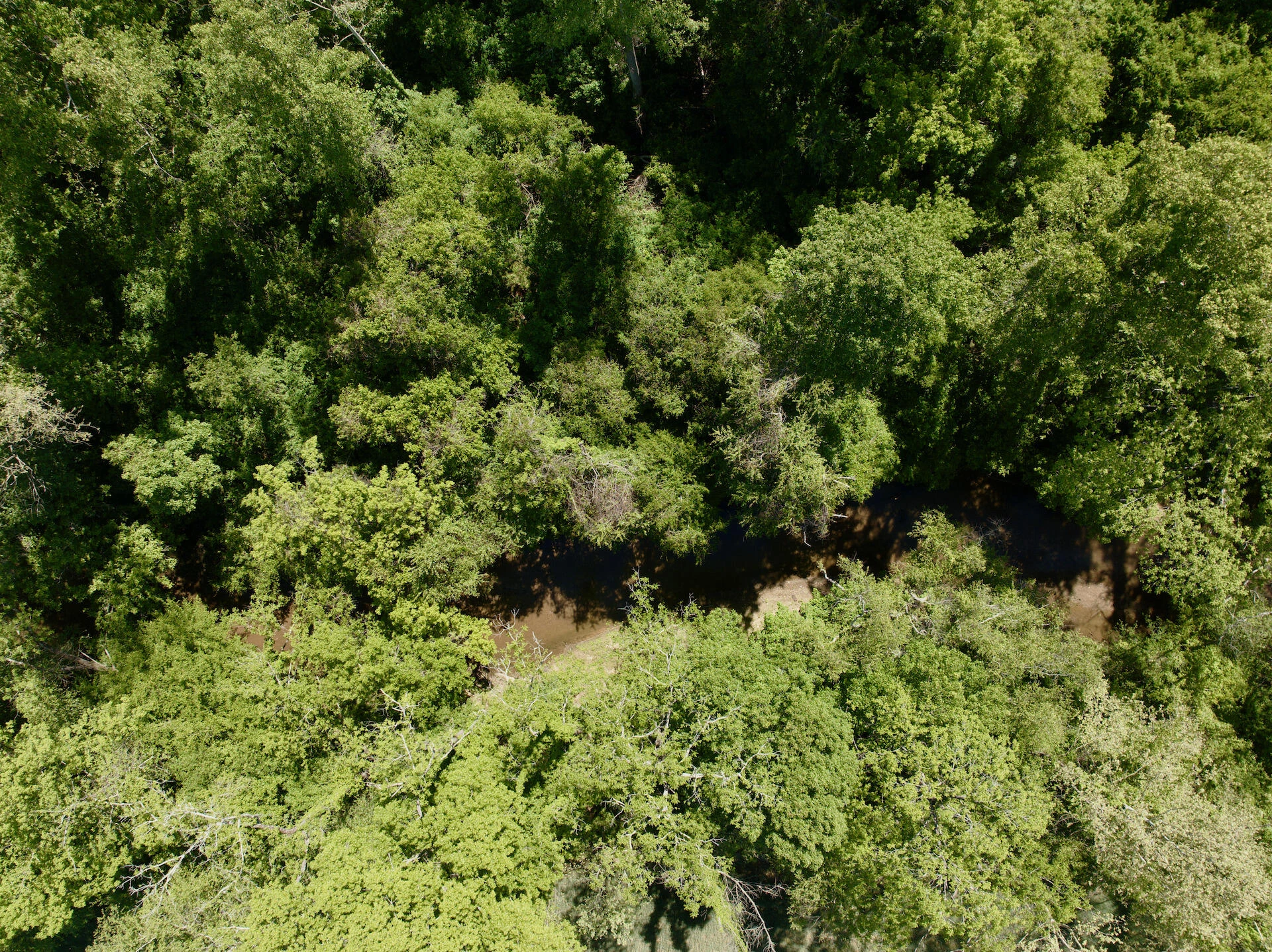 0 River Ridge LN - Photo 14