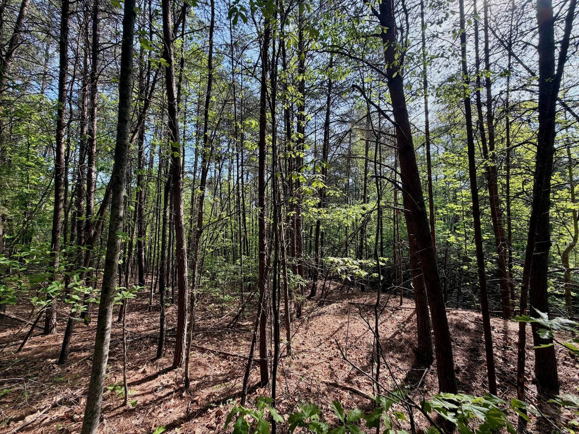 0 River Ridge LN - Photo 15