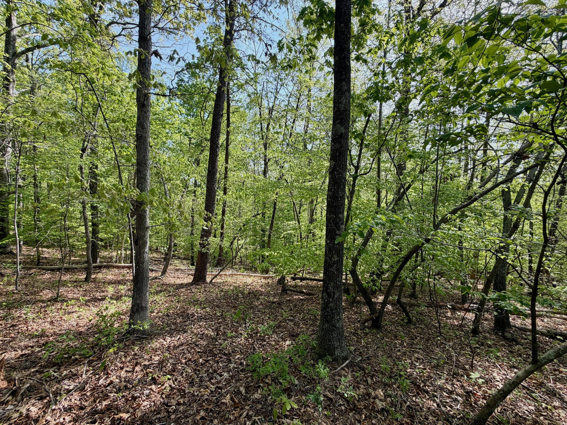 0 River Ridge LN - Photo 17