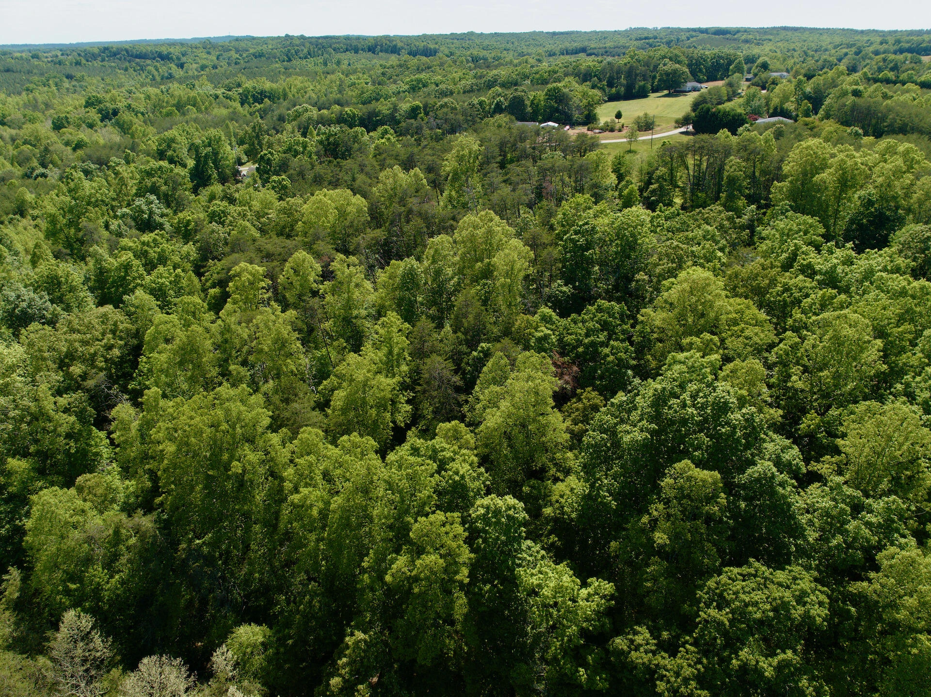 0 River Ridge LN - Photo 29