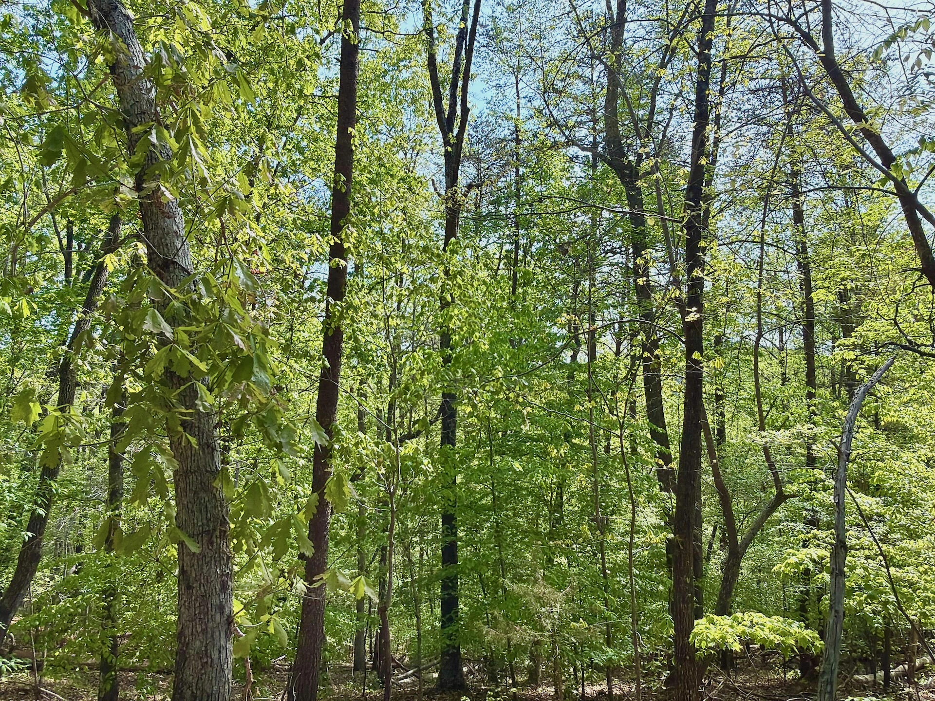 0 River Ridge LN - Photo 30