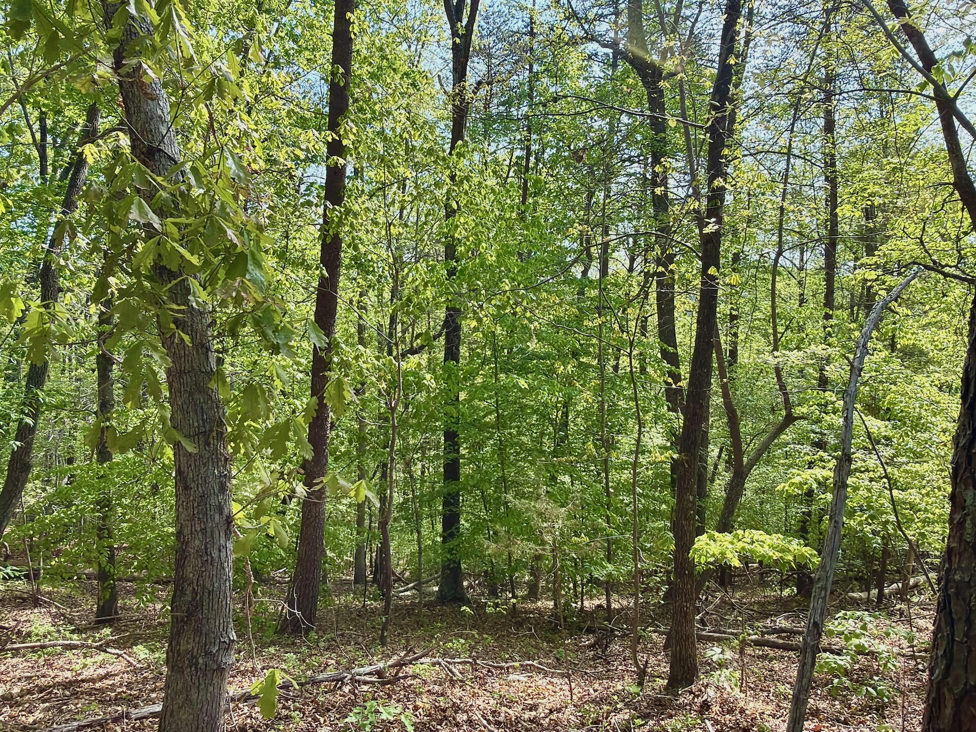 0 River Ridge LN - Photo 31